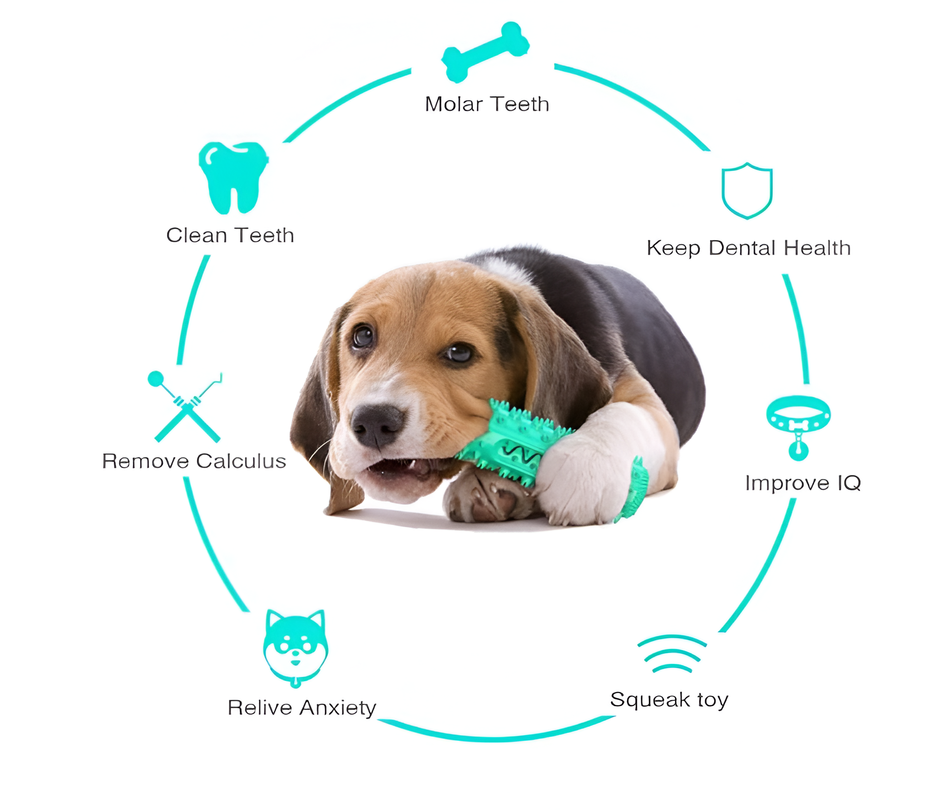 Juguete de perro con lavado de dientes