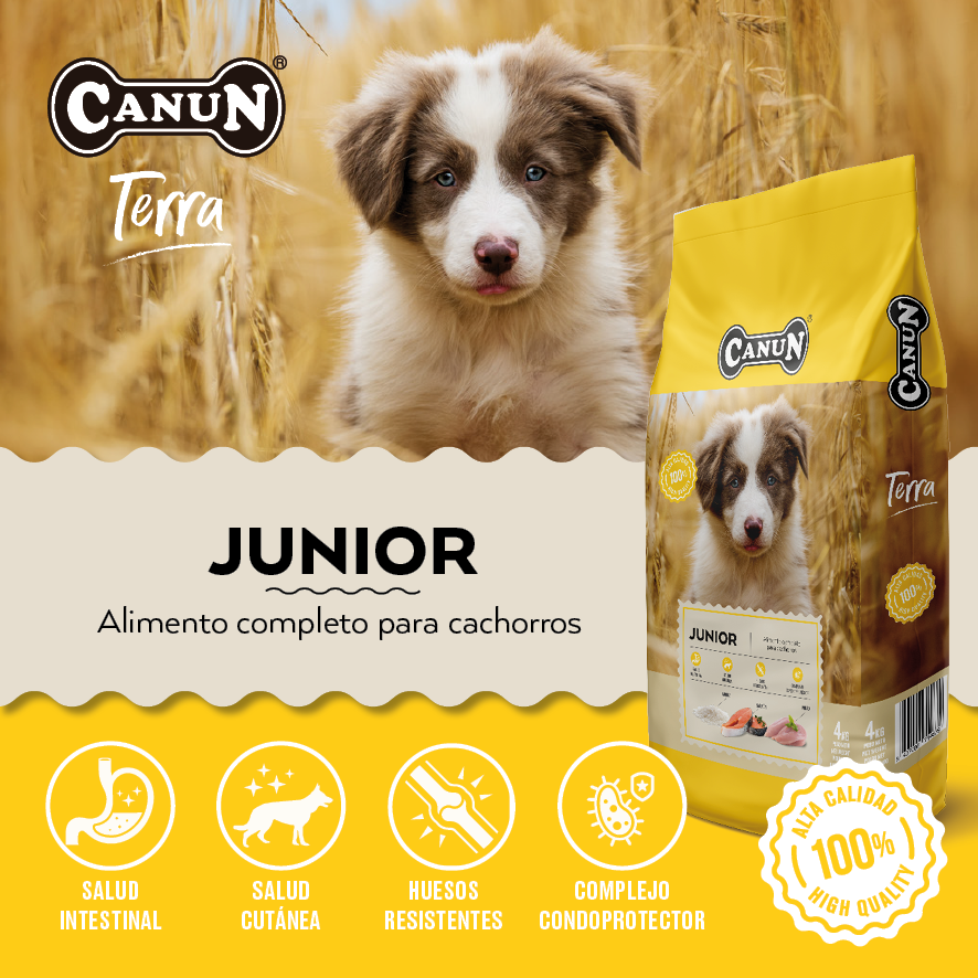 Canun Terra Junior para Cachorros