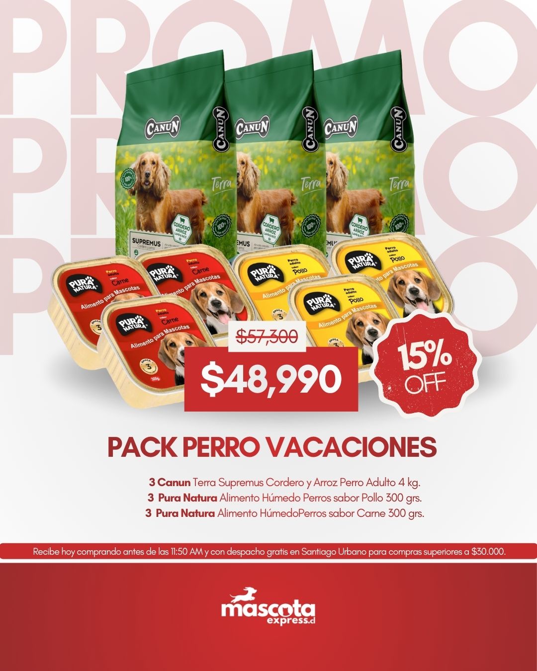 Pack Perro Vacaciones