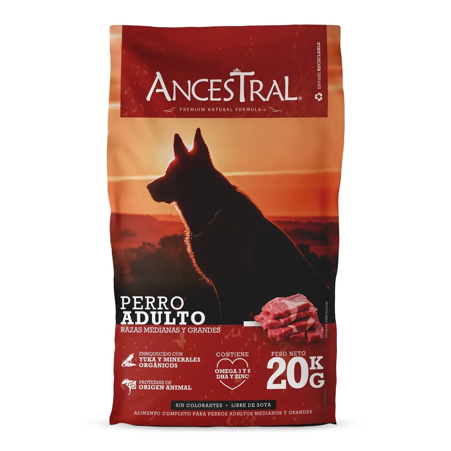 Ancestral Perro Adulto raza Mediana y Grande - Mascota Express