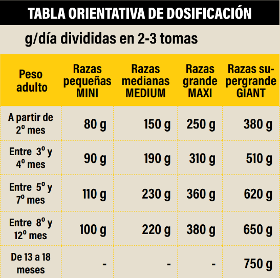 Canun Terra Junior para Cachorros