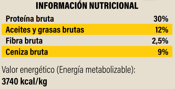 Canun Terra Junior para Cachorros